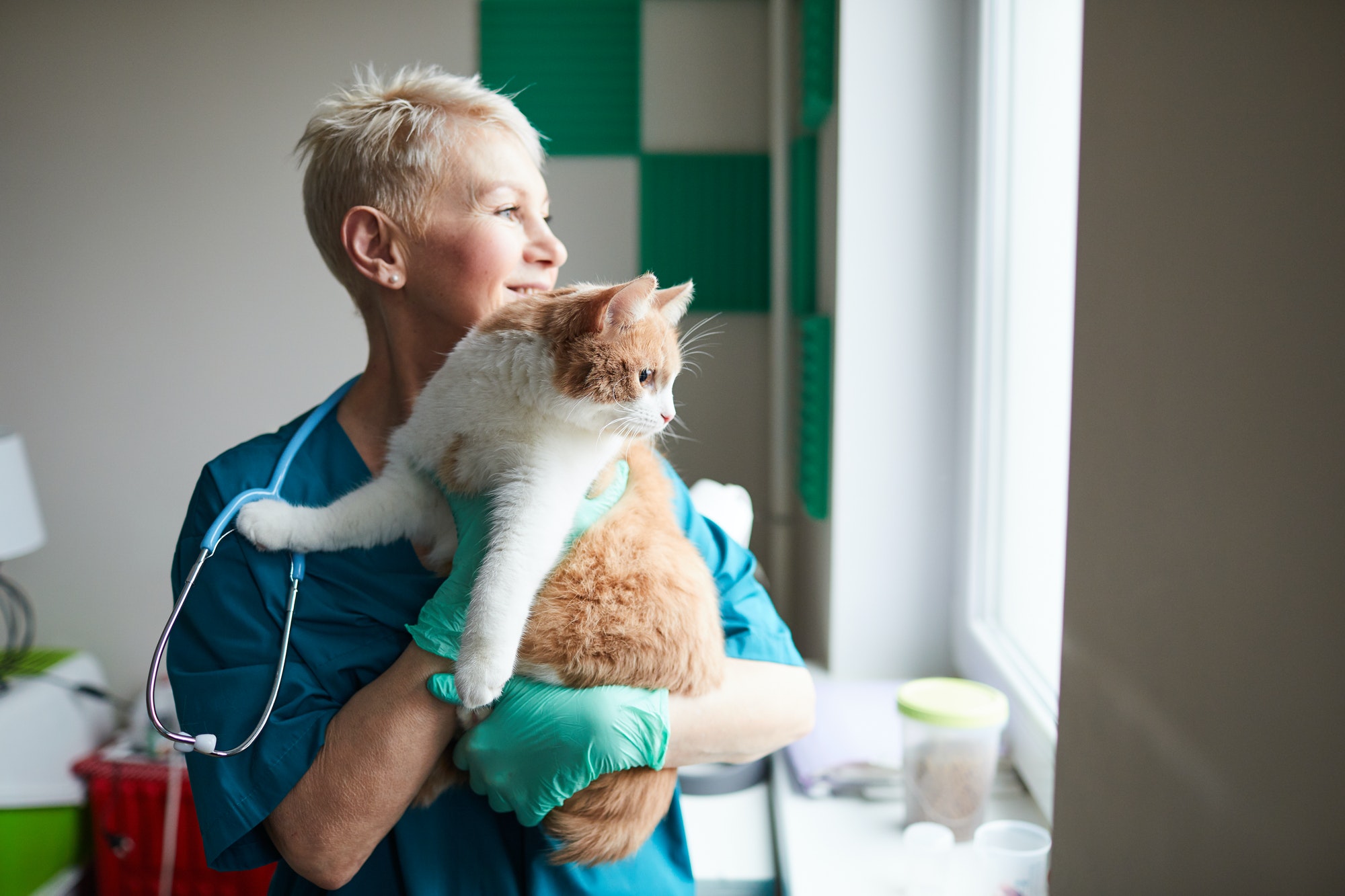 happy-vet-doctor-with-cat.jpg